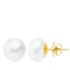 18K PENDIENTES ORO AMARILLO PERLA CULTIVADAS 12-13 MM CIERRE PRESION