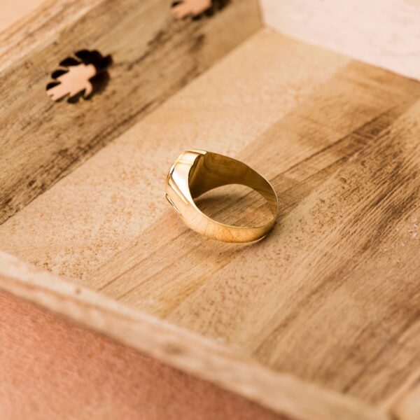 18K SELLO ORO AMARILLO CABALLERO HUECO OVAL LATERAL BRILLO. ZONA GRABADO: 11X9 MM - Imagen 3