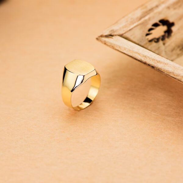 18K SELLO ORO AMARILLO CABALLERO HUECO. LATERAL BRILLO. CABEZA TONEL: 14X12 MM - Imagen 2
