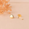 18K PENDIENTES ORO AMARILLO CONCHA BRILLO 8 X 8 MM. CIERRE PRESION - Imagen 2