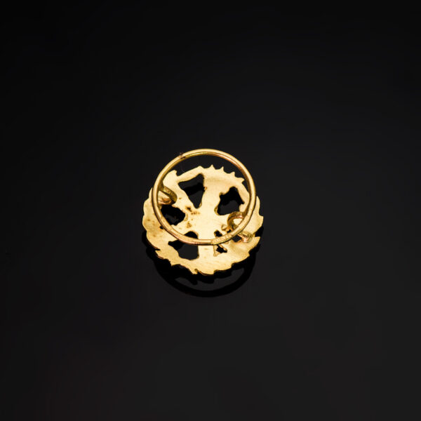 18K INSIGNIA ORO AMARILLO INGENIERO AERONAUTICO ( AEROESPACIAL ) 15 X 15 MM - Imagen 3