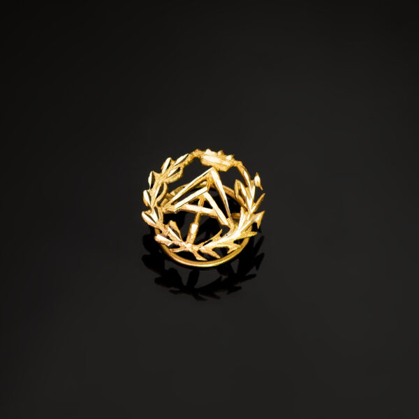 18K INSIGNIA ORO AMARILLO APAREJADOR ( ARQUITECTO TECNICO )16 X 15 MM - Imagen 2