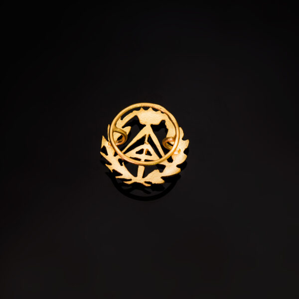 18K INSIGNIA ORO AMARILLO APAREJADOR ( ARQUITECTO TECNICO )16 X 15 MM - Imagen 3