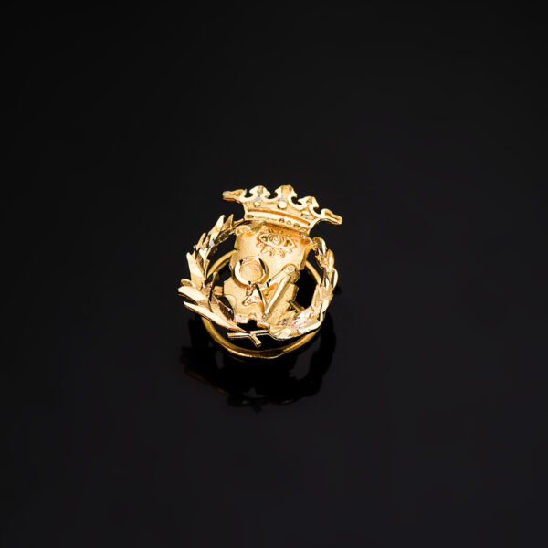 18K INSIGNIA ORO AMARILLO CIENCIAS EXACTAS ( MATEMATICAS ) 17 X 14 MM - Imagen 2