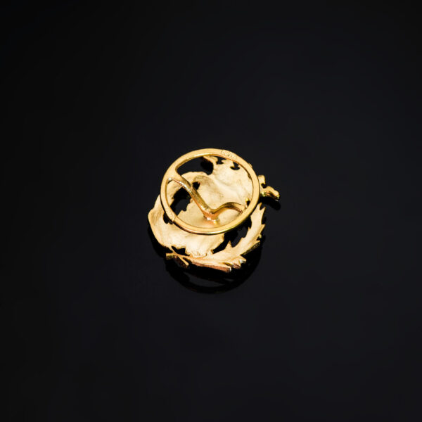 18K INSIGNIA ORO AMARILLO CIENCIAS EXACTAS ( MATEMATICAS ) 17 X 14 MM - Imagen 3