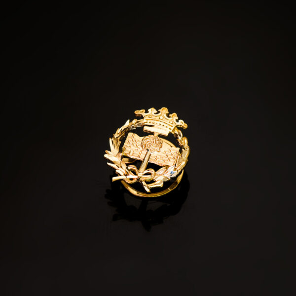 18K INSIGNIA ORO AMARILLO GEOLOGICAS 17 X 14 MM - Imagen 2