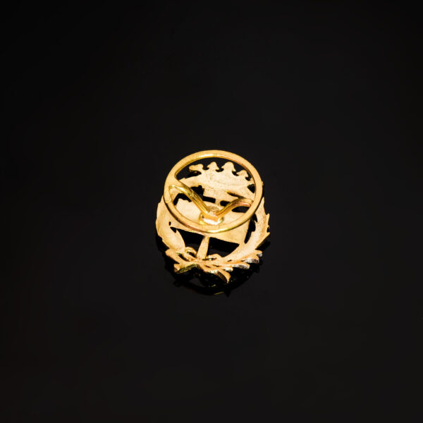 18K INSIGNIA ORO AMARILLO GEOLOGICAS 17 X 14 MM - Imagen 3