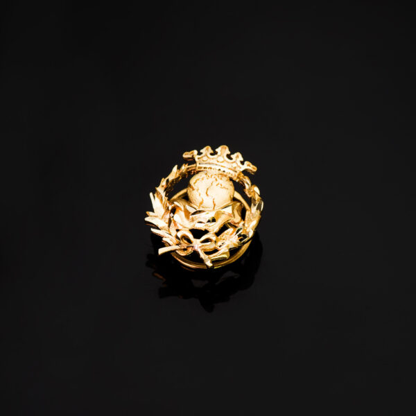 18K INSIGNIA ORO AMARILLO GEOGRAFIA 17 X 14 MM - Imagen 2