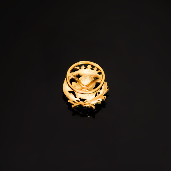 18K INSIGNIA ORO AMARILLO GEOGRAFIA 17 X 14 MM - Imagen 3