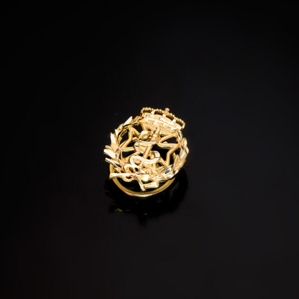 18K INSIGNIA ORO AMARILLO ODONTOLOGIA 17 X 14 MM - Imagen 2