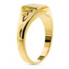 9K SELLO ORO AMARILLO MACIZO CADETE. ZONA GRABADO: 8X7 MM - Imagen 2