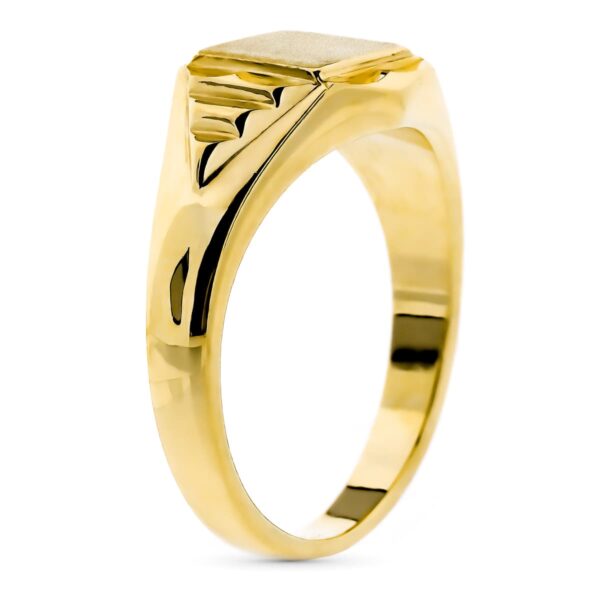 9K SELLO ORO AMARILLO MACIZO CADETE. ZONA GRABADO: 8X7 MM - Imagen 2