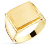 18K SELLO ORO AMARILLO CABALLERO MACIZO TALLADO ZONA GRABADO: 14X14 MM - Imagen 2