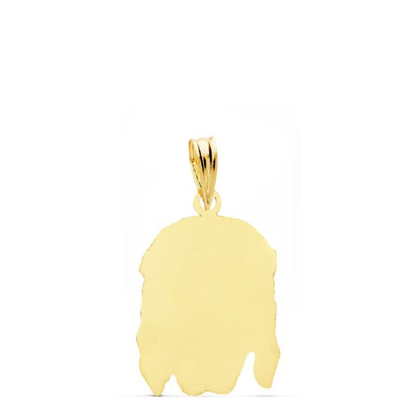 18K CRISTO BUENA MUERTE ORO AMARILLO 21X14 MM - Imagen 2