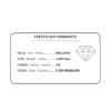 18K PENDIENTES ORO BLANCO CHATON 4 DIAMANTES 0.08 QTS. 1.7 MM VS2-G. 11X5.5 MM CIERRE PRESION - Imagen 3